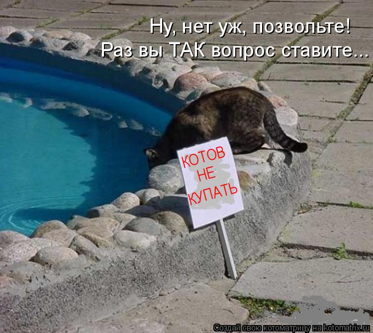 КОТОВ НЕ КУПАТЬ Раз вы ТАК вопрос ставите... Ну, нет уж, позвольте!... Котоматрица: КОТОВ НЕ КУПАТЬ Раз вы ТАК вопрос ставите... Ну, нет уж, позвольте!