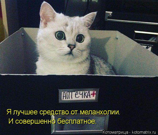 Я лучшее средство от меланхолии. И совершенно бесплатное.... Котоматрица: Я лучшее средство от меланхолии. И совершенно бесплатное.