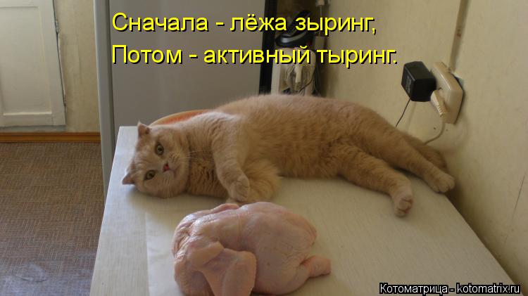 Сначала - лёжа зыринг, Потом - активный тыринг.... Котоматрица: Сначала - лёжа зыринг, Потом - активный тыринг.