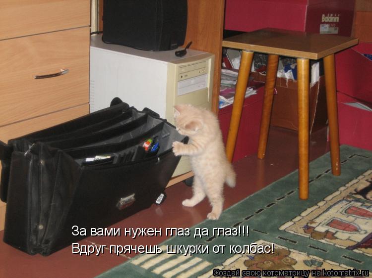 За вами нужен глаз да глаз!!! Вдруг прячешь шкурки от колбас!... Котоматрица: За вами нужен глаз да глаз!!! Вдруг прячешь шкурки от колбас!