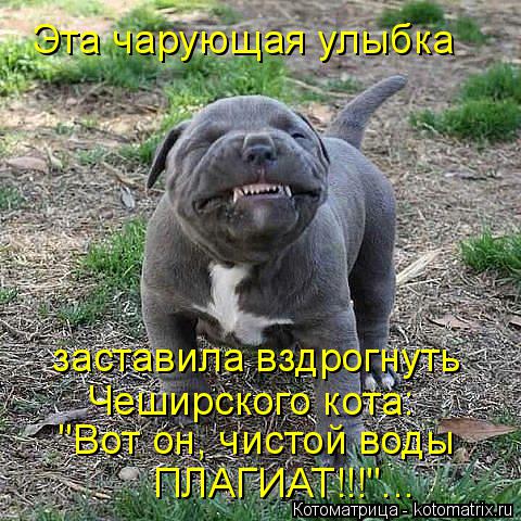 Эта чарующая улыбка заставила вздрогнуть Чеширского кота: "Вот он, чистой воды ПЛАГИАТ!!!"...... Котоматрица: Эта чарующая улыбка заставила вздрогнуть Чеширского кота: "Вот он, чистой воды ПЛАГИАТ!!!"...