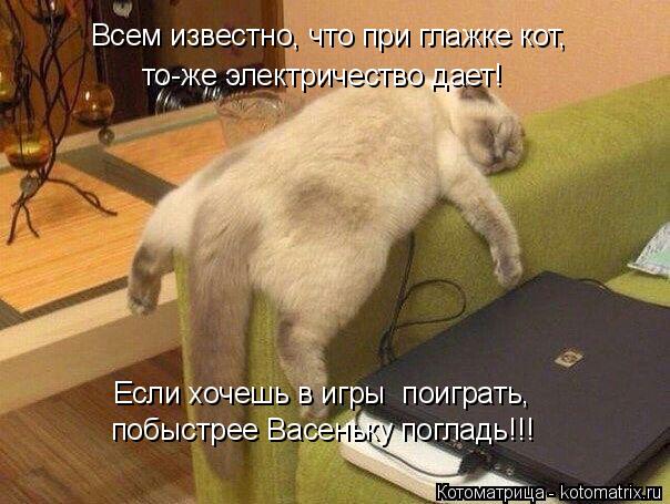 побыстрее Васеньку погладь!!! Если хочешь в игры поиграть, Всем известно, что при глажке кот, то-же ... Котоматрица: побыстрее Васеньку погладь!!! Если хочешь в игры поиграть, Всем известно, что при глажке кот, то-же электричество дает!