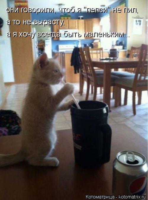 они говорили, чтоб я "пепси" не пил, а то не вырасту, а я хочу всегда быть маленьким...... Котоматрица: они говорили, чтоб я "пепси" не пил, а то не вырасту, а я хочу всегда быть маленьким...