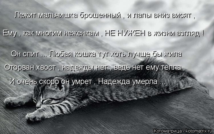 Он спит ... Любая кошка тут хоть лучше бы жила Лежит мальчишка брошенный , и лапы вниз висят , Оторва... Котоматрица: Он спит ... Любая кошка тут хоть лучше бы жила Лежит мальчишка брошенный , и лапы вниз висят , Оторван хвост , надежды нет , ведь нет ему тепла ,
