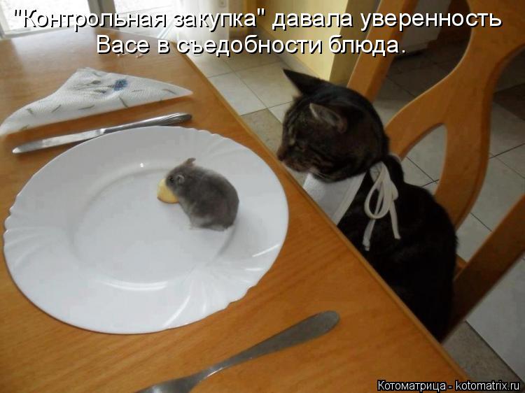 "Контрольная закупка" давала уверенность Васе в съедобности блюда.... Котоматрица: "Контрольная закупка" давала уверенность Васе в съедобности блюда.