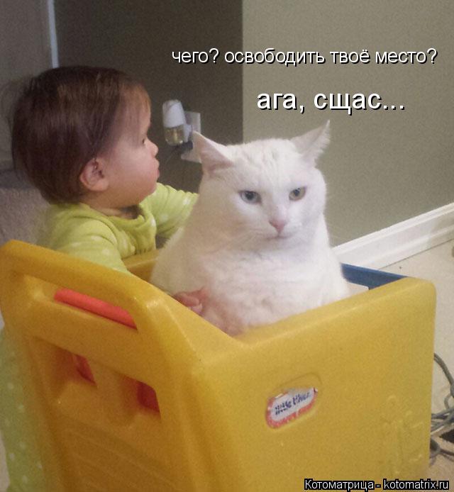 чего? освободить твоё место? ага, сщас...... Котоматрица: чего? освободить твоё место? ага, сщас...