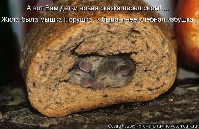 Жила-была мышка Норушка, и была у нее хлебная избушка... А вот Вам детки новая сказка перед сном!....... Котоматрица: Жила-была мышка Норушка, и была у нее хлебная избушка... А вот Вам детки новая сказка перед сном!....