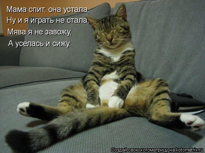 Мама спит, она устала, Ну и я играть не стала, Мява я не завожу, А уселась и сижу.... Котоматрица: Мама спит, она устала, Ну и я играть не стала, Мява я не завожу, А уселась и сижу.
