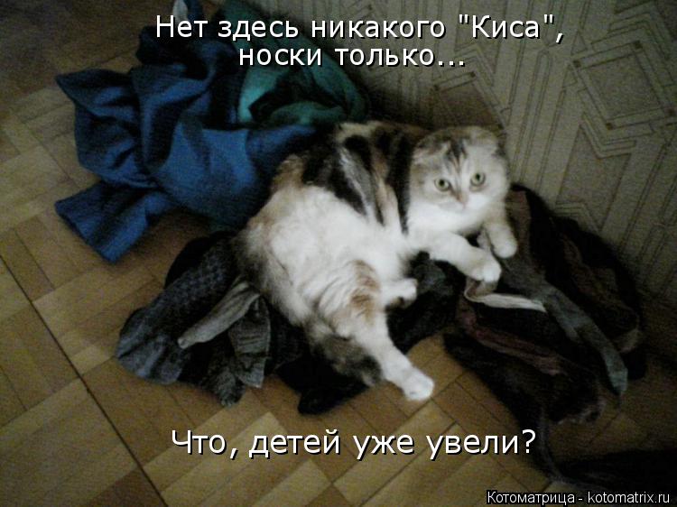 Нет здесь никакого "Киса", носки только... Что, детей уже увели?... Котоматрица: Нет здесь никакого "Киса", носки только... Что, детей уже увели?