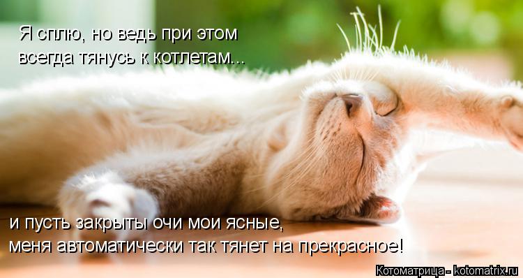 Я сплю, но ведь при этом всегда тянусь к котлетам... и пусть закрыты очи мои ясные, меня автоматическ... Котоматрица: Я сплю, но ведь при этом всегда тянусь к котлетам... и пусть закрыты очи мои ясные, меня автоматически так тянет на прекрасное!