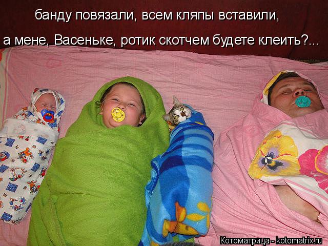 банду повязали, всем кляпы вставили, а мене, Васеньке, ротик скотчем будете клеить?...... Котоматрица: банду повязали, всем кляпы вставили, а мене, Васеньке, ротик скотчем будете клеить?...