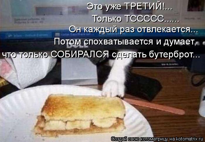 Это уже ТРЕТИЙ!... Только ТССССС...... Он каждый раз отвлекается... Потом спохватывается и думает, ч... Котоматрица: Это уже ТРЕТИЙ!... Только ТССССС...... Он каждый раз отвлекается... Потом спохватывается и думает, что только СОБИРАЛСЯ сделать бутерброт...