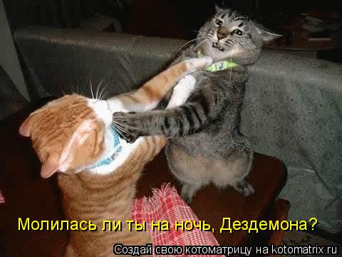 Молилась ли ты на ночь, Дездемона?... Котоматрица: Молилась ли ты на ночь, Дездемона?