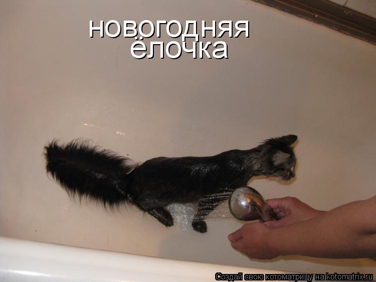 новогодняя ёлочка... Котоматрица: новогодняя ёлочка