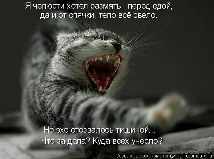 Я челюсти хотел размять , перед едой, да и от спячки, тело всё свело. Что за дела? Куда всех унесло? ... Котоматрица: Я челюсти хотел размять , перед едой, да и от спячки, тело всё свело. Что за дела? Куда всех унесло? Но эхо отозвалось тишиной...