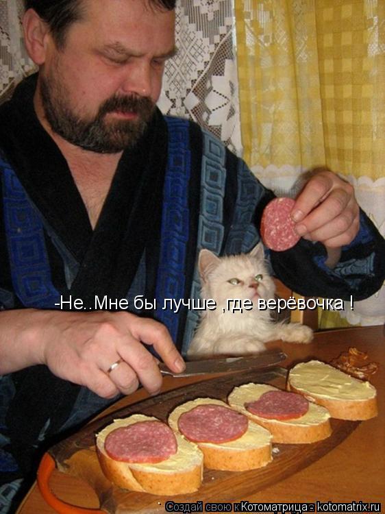-Не..Мне бы лучше ,где верёвочка !... Котоматрица: -Не..Мне бы лучше ,где верёвочка !