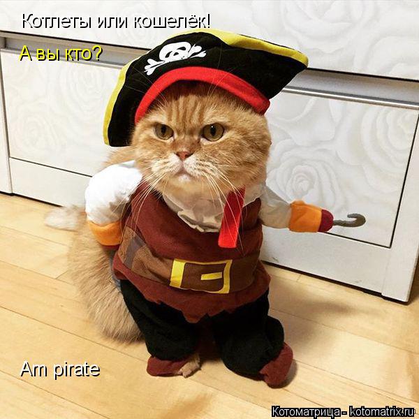 Котлеты или кошелёк! А вы кто? Am pirate... Котоматрица: Котлеты или кошелёк! А вы кто? Am pirate