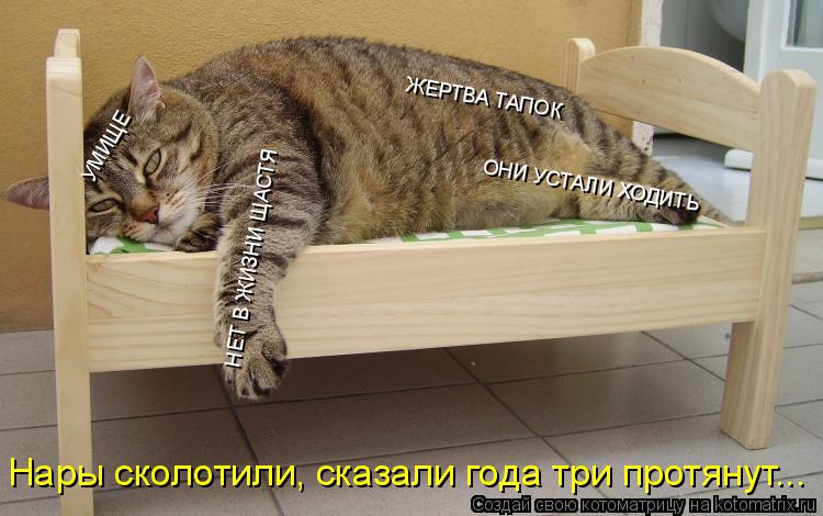 УМИЩЕ НЕТ В ЖИЗНИ ЩАСТЯ ОНИ УСТАЛИ ХОДИТЬ ЖЕРТВА ТАПОК Нары сколотили, сказали года три протянут...... Котоматрица: УМИЩЕ НЕТ В ЖИЗНИ ЩАСТЯ ОНИ УСТАЛИ ХОДИТЬ ЖЕРТВА ТАПОК Нары сколотили, сказали года три протянут...
