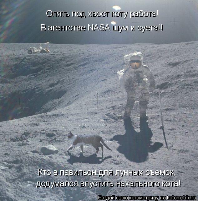 Кто в павильон для лунных съемок, Опять под хвост коту работа! В агентстве NASA шум и суета!! додума... Котоматрица: Кто в павильон для лунных съемок, Опять под хвост коту работа! В агентстве NASA шум и суета!! додумался впустить нахального кота!