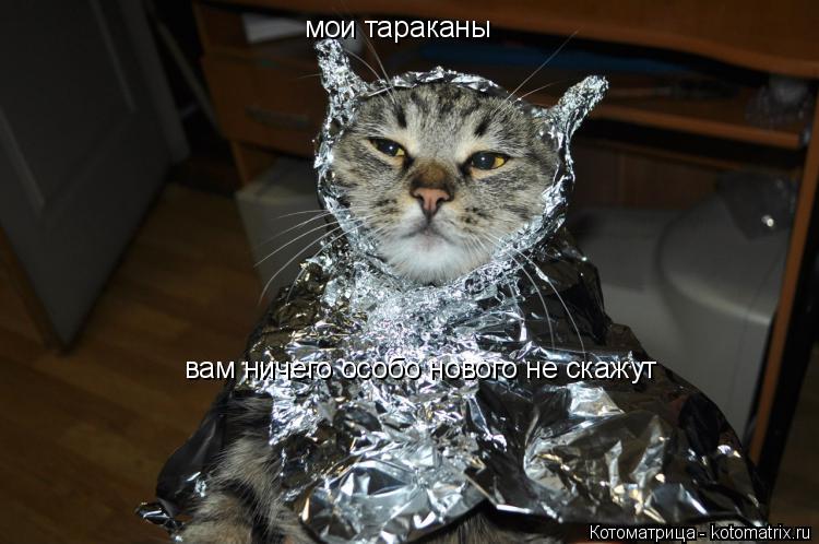 мои тараканы вам ничего особо нового не скажут... Котоматрица: мои тараканы вам ничего особо нового не скажут