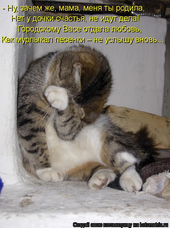 Котоматрица: - Ну, зачем же, мама, меня ты родила, Нет у дочки счастья, не идут дела! Городскому Васе отдала любовь, Как мурлыкал песенки – не услышу вновь…