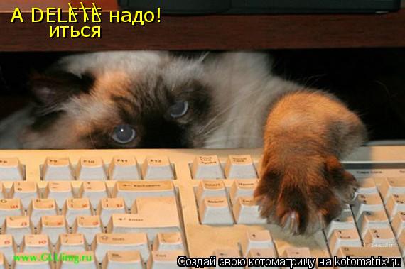 Котоматрица: А DELETE надо! \ \ \ иться