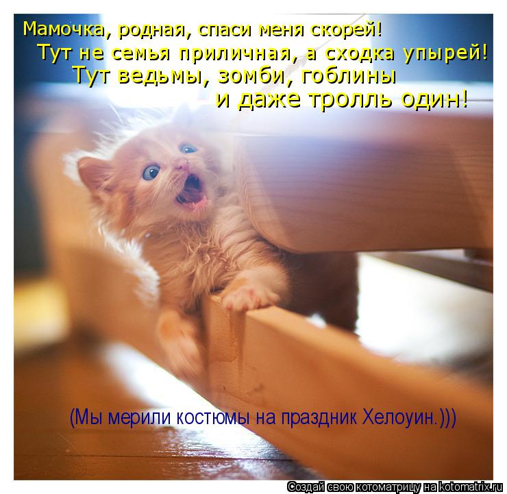 Мамочка, родная, спаси меня скорей! Тут не семья приличная, а сходка упырей! и даже тролль один! Тут ... Котоматрица: Мамочка, родная, спаси меня скорей! Тут не семья приличная, а сходка упырей! и даже тролль один! Тут ведьмы, зомби, гоблины (Мы мерили костюмы