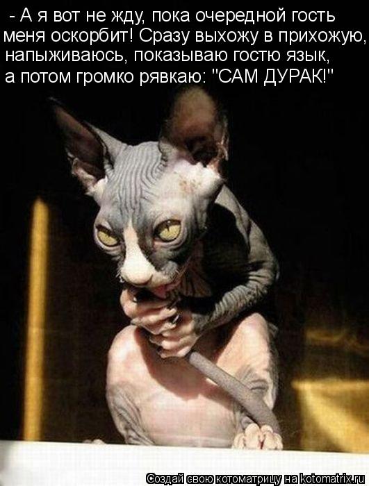 - А я вот не жду, пока очередной гость меня оскорбит! Сразу выхожу в прихожую, напыживаюсь, показыва... Котоматрица: - А я вот не жду, пока очередной гость меня оскорбит! Сразу выхожу в прихожую, напыживаюсь, показываю гостю язык, а потом громко рявкаю: "САМ