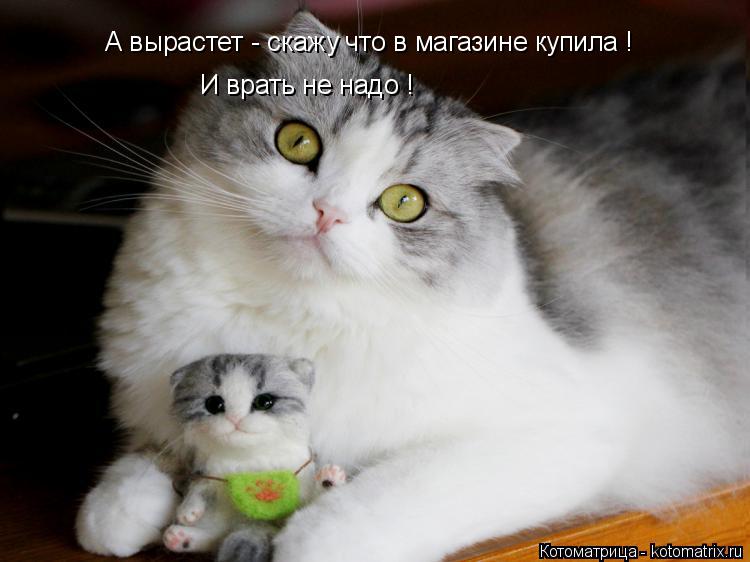 Котоматрица: А вырастет - скажу что в магазине купила ! И врать не надо !