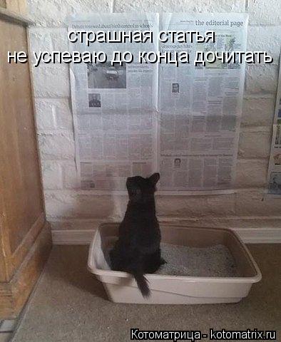 Котоматрица: страшная статья  не успеваю до конца дочитать