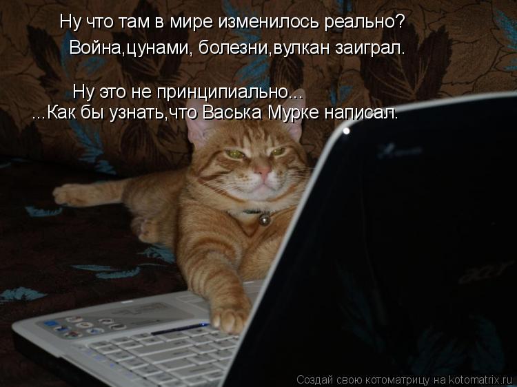 Ну что там в мире изменилось реально? Война,цунами, болезни,вулкан заиграл. Ну это не принципиально..... Котоматрица: Ну что там в мире изменилось реально? Война,цунами, болезни,вулкан заиграл. Ну это не принципиально... ...Как бы узнать,что Васька Мурке написа