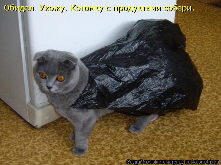 Обидел. Ухожу. Котомку с продуктами собери.... Котоматрица: Обидел. Ухожу. Котомку с продуктами собери.