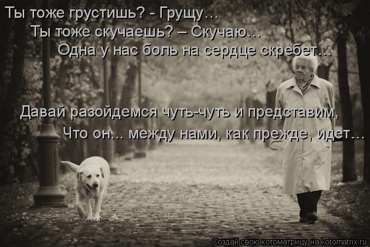 Ты тоже грустишь? - Грущу… Ты тоже скучаешь? – Скучаю… Одна у нас боль на сердце скребет… Давай разо... Котоматрица: Ты тоже грустишь? - Грущу… Ты тоже скучаешь? – Скучаю… Одна у нас боль на сердце скребет… Давай разойдемся чуть-чуть и представим, Что он...