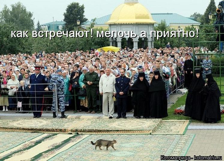 как встречают! мелочь,а приятно!... Котоматрица: как встречают! мелочь,а приятно!