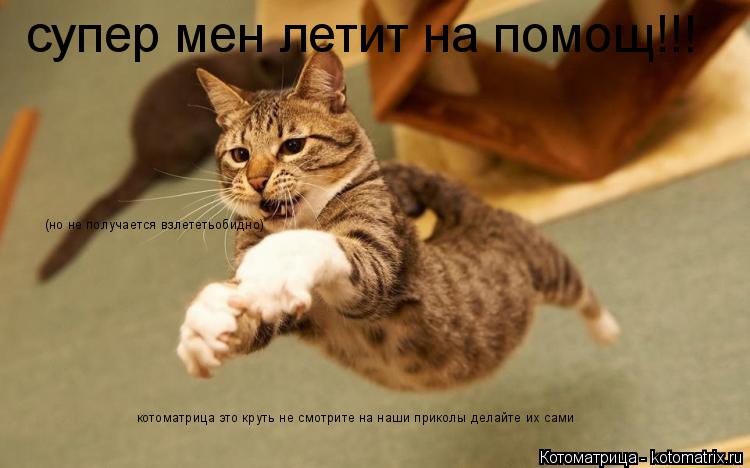 супер мен летит на помощ!!! (но не получается взлететьобидно) котоматрица это круть не смотрите на на... Котоматрица: супер мен летит на помощ!!! (но не получается взлететьобидно) котоматрица это круть не смотрите на наши приколы делайте их сами