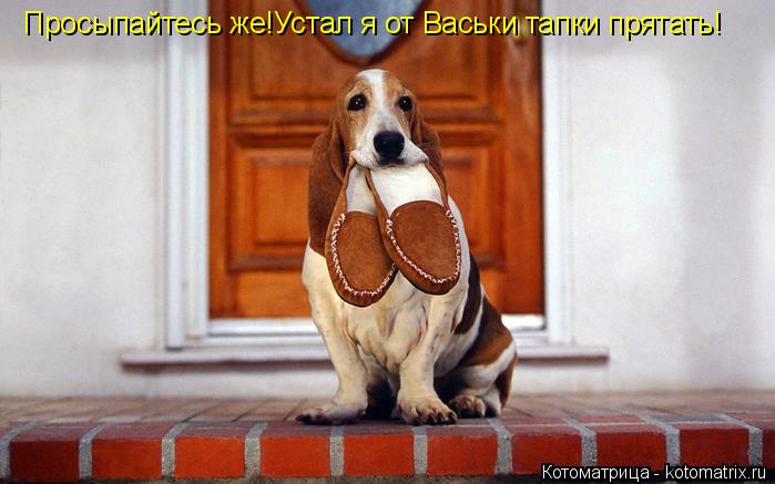 Просыпайтесь же!Устал я от Васьки тапки прятать!... Котоматрица: Просыпайтесь же!Устал я от Васьки тапки прятать!