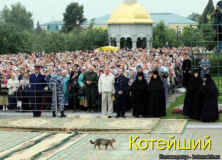 Котейший... Котоматрица: Котейший