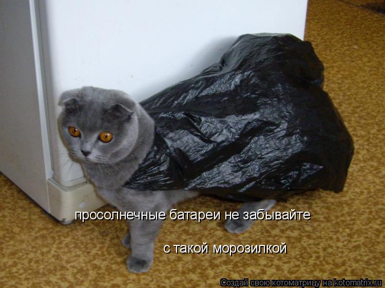 просолнечные батареи не забывайте с такой морозилкой... Котоматрица: просолнечные батареи не забывайте с такой морозилкой