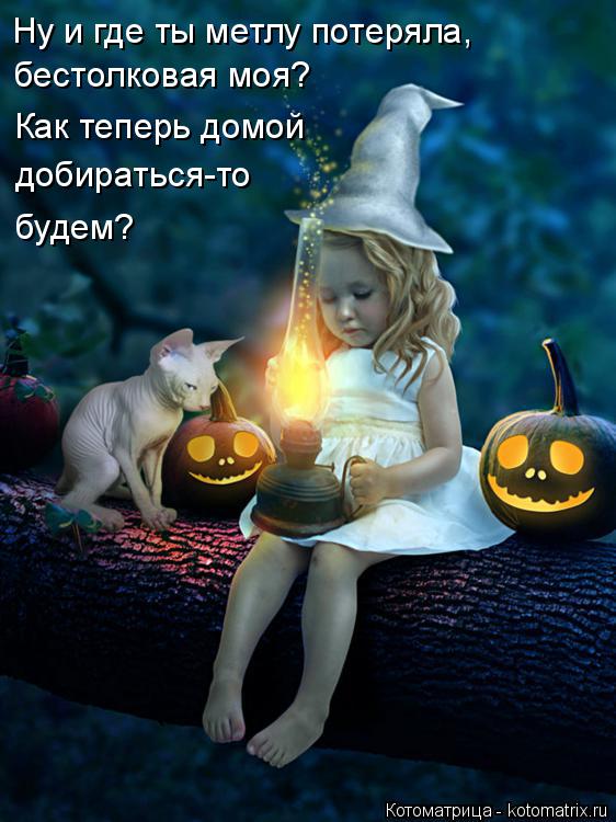 Котоматрица: Ну и где ты метлу потеряла, бестолковая моя? Как теперь домой добираться-то будем?