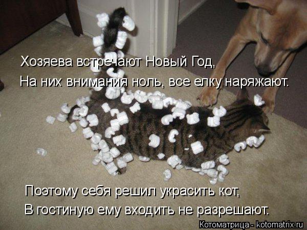 Котоматрица: В гостиную ему входить не разрешают. Поэтому себя решил украсить кот,  На них внимания ноль, все елку наряжают. Хозяева встречают Новый Год,