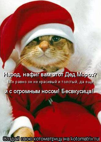 Котоматрица: Народ, нафиг вам этот Дед Мороз? Все равно он не красивый и толстый, да еще и с огромным носом! Бесвкусица!