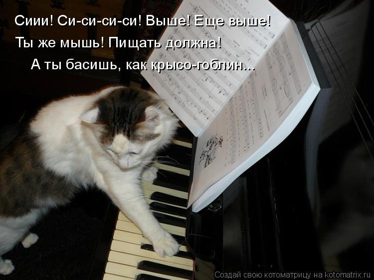 Котоматрица: Сиии! Си-си-си-си! Выше! Еще выше! Ты же мышь! Пищать должна! А ты басишь, как крысо-гоблин...