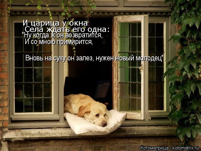 Котоматрица: И царица у окна  Села ждать его одна: "Ну когда ж он возвратится, И со мною примирится, Вновь на суку он залез, нужен новый молодец".