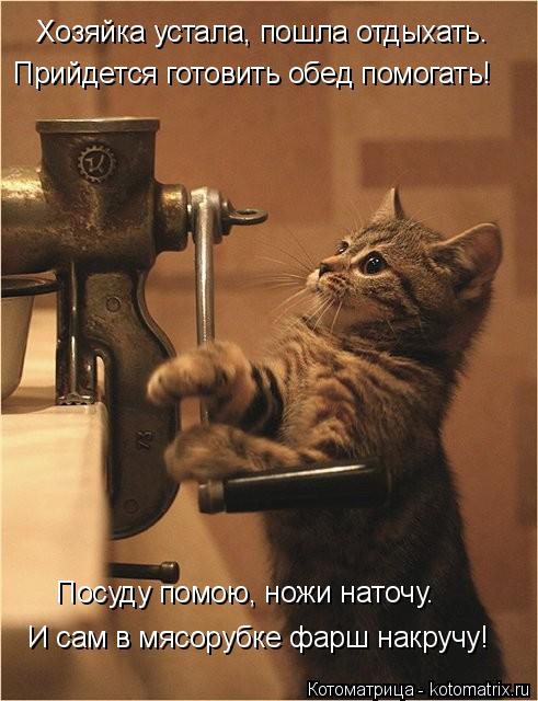 Котоматрица: Хозяйка устала, пошла отдыхать. Прийдется готовить обед помогать! И сам в мясорубке фарш накручу! Посуду помою, ножи наточу.