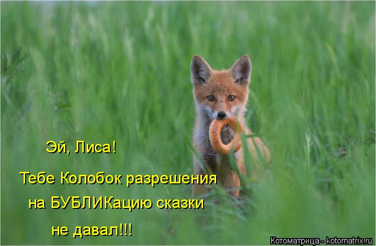Эй, Лиса! Тебе Колобок разрешения на БУБЛИКацию сказки не давал!!!... Котоматрица: Эй, Лиса! Тебе Колобок разрешения на БУБЛИКацию сказки не давал!!!