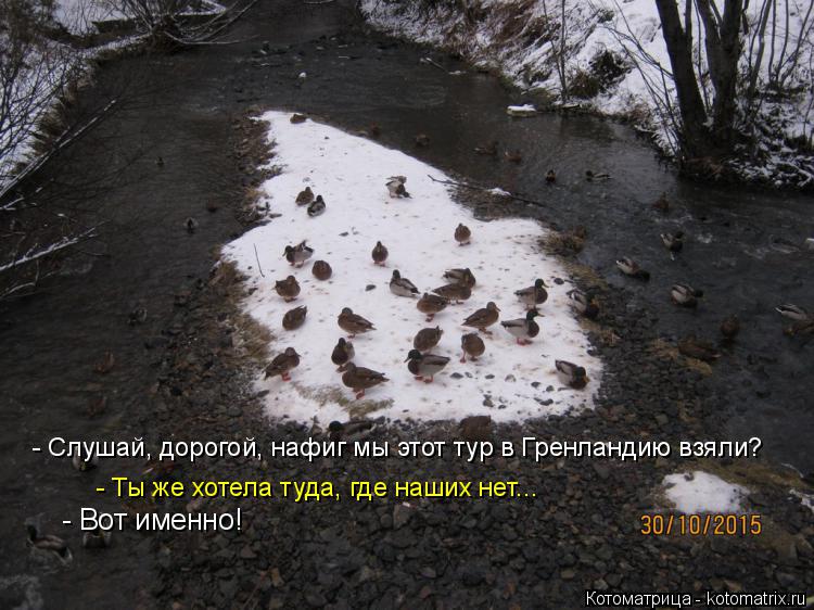 - Слушай, дорогой, нафиг мы этот тур в Гренландию взяли? - Ты же хотела туда, где наших нет... - Вот ... Котоматрица: - Слушай, дорогой, нафиг мы этот тур в Гренландию взяли? - Ты же хотела туда, где наших нет... - Вот именно!