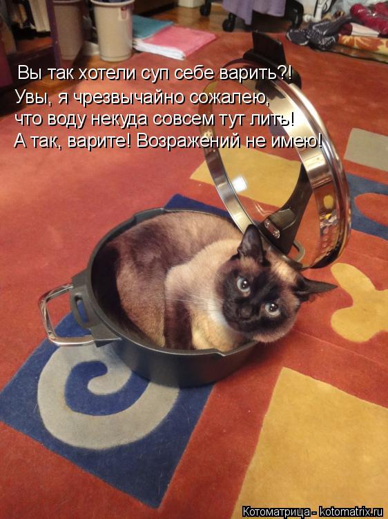 Вы так хотели суп себе варить?! Увы, я чрезвычайно сожалею, что воду некуда совсем тут лить! А так, в... Котоматрица: Вы так хотели суп себе варить?! Увы, я чрезвычайно сожалею, что воду некуда совсем тут лить! А так, варите! Возражений не имею!