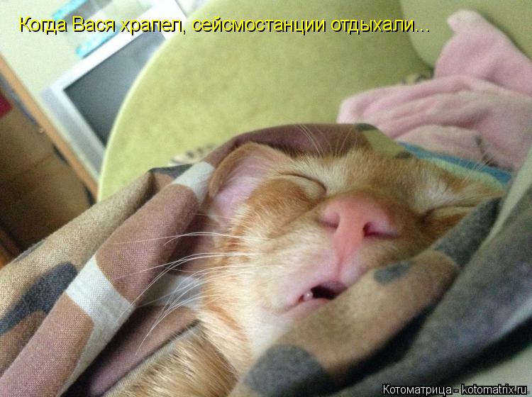 Когда Вася храпел, сейсмостанции отдыхали...... Котоматрица: Когда Вася храпел, сейсмостанции отдыхали...