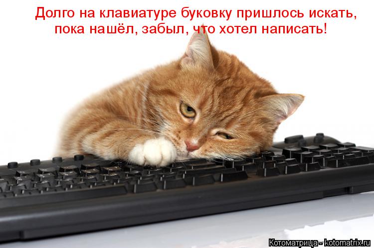 Долго на клавиатуре буковку пришлось искать, пока нашёл, забыл, что хотел написать!... Котоматрица: Долго на клавиатуре буковку пришлось искать, пока нашёл, забыл, что хотел написать!