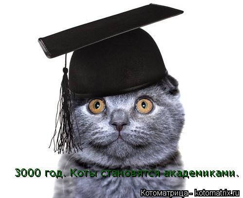 Котоматрица: 3000 год. Коты становятся академиками.